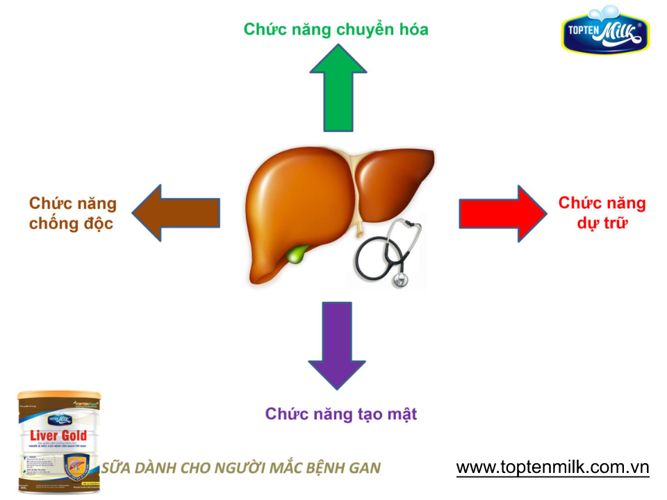 Sữa dinh dưỡng cho gan ,mát gan giải độc liver gold 800g topten milk