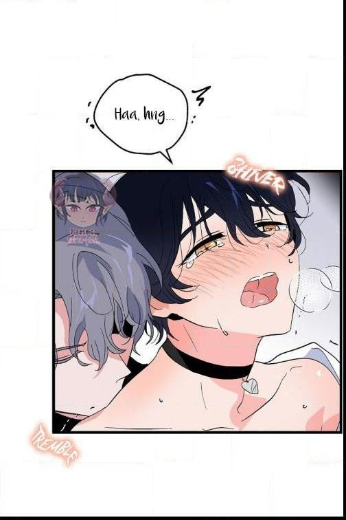 tình yêu cún con chapter 19.2 2