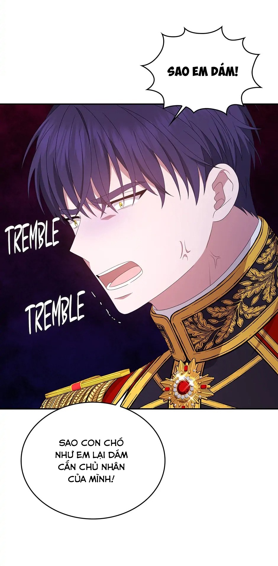 công chúa hai mặt chapter 98 11