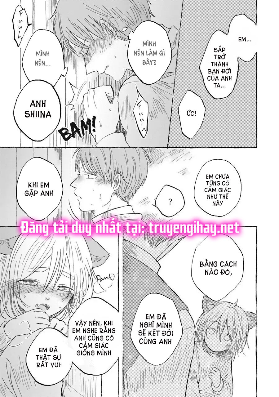 neko mimi omegaverse chapter 6.2 11