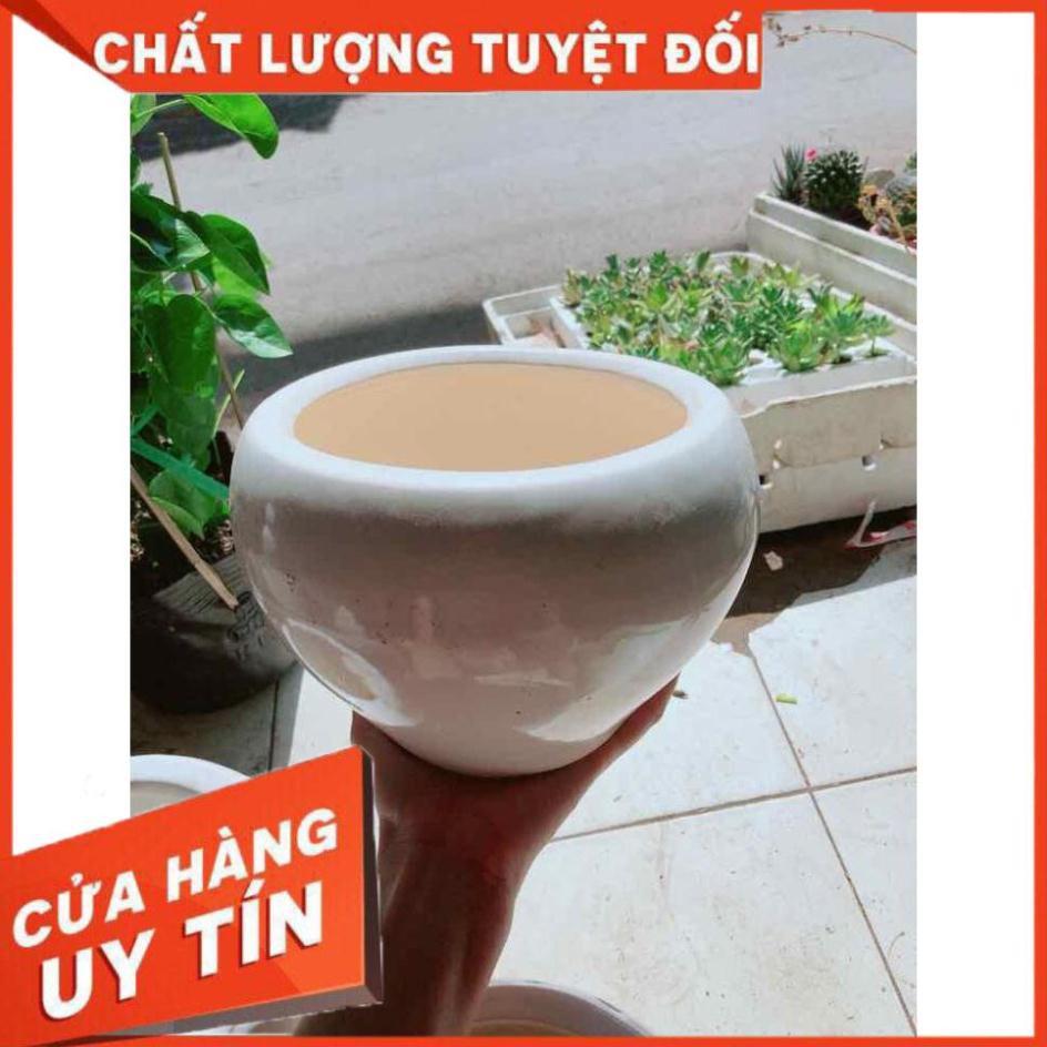 Chậu trồng cây Nhiều Người Mua