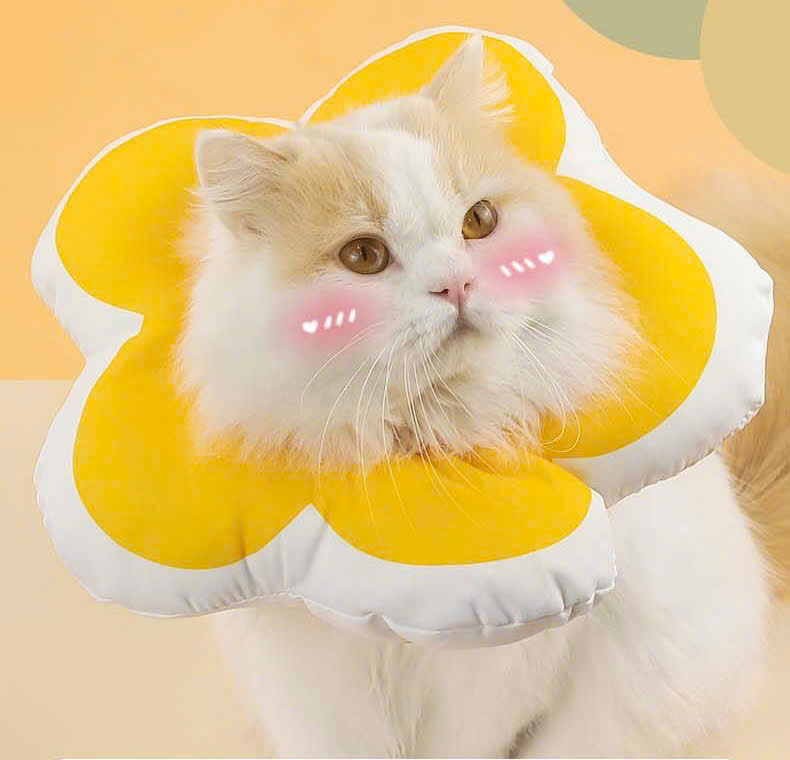 VÒNG CỔ THÚ CƯNG VÒNG CỔ LOA CHỐNG LIẾM CHO THỎ CHÓ MÈO BÔNG HOA DỄ THƯƠNG TỪ 0.5-5.5KG MÃ 10 CHO CHÓ MÈO THỎ