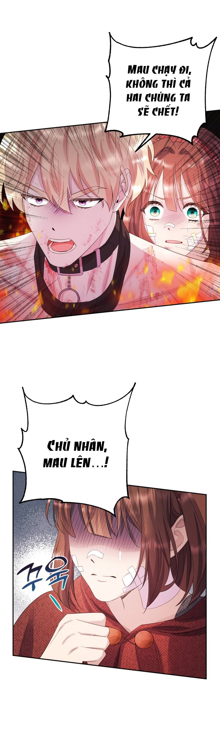 [18+] nếu cứu rỗi một cầm thú hư hỏng chapter 11.1 12