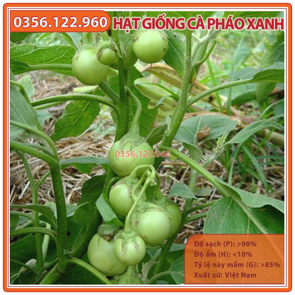 Hạt giống cà pháo xanh cao sản F1 - gói 2g