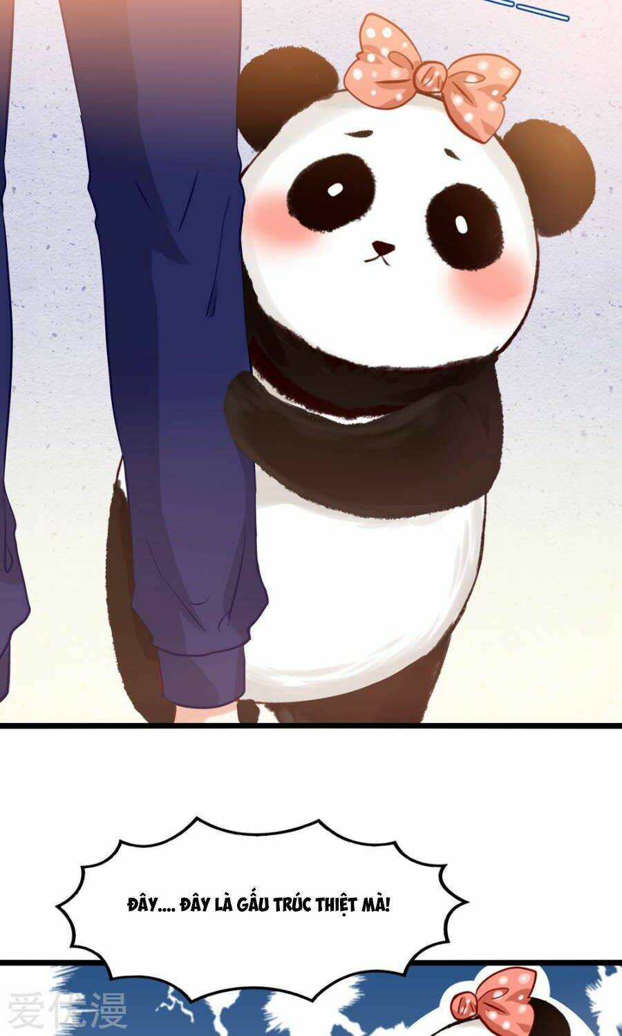 tôi bị gấu trúc nhìn trúng rồi chapter 4 5