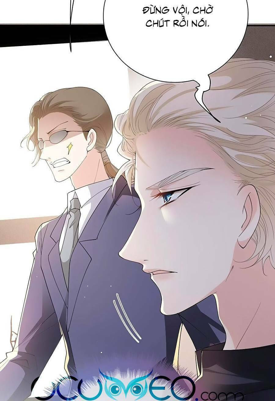 một vợ yêu, một bé con chapter 217 4