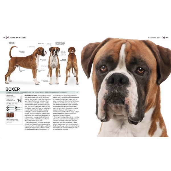 The Complete Dog Breed Book