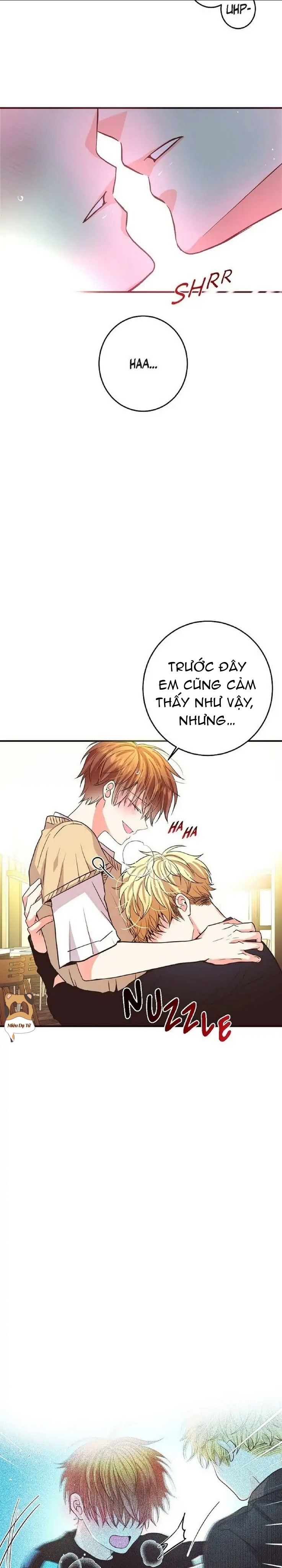 mối quan hệ phù hợp chapter 19 5