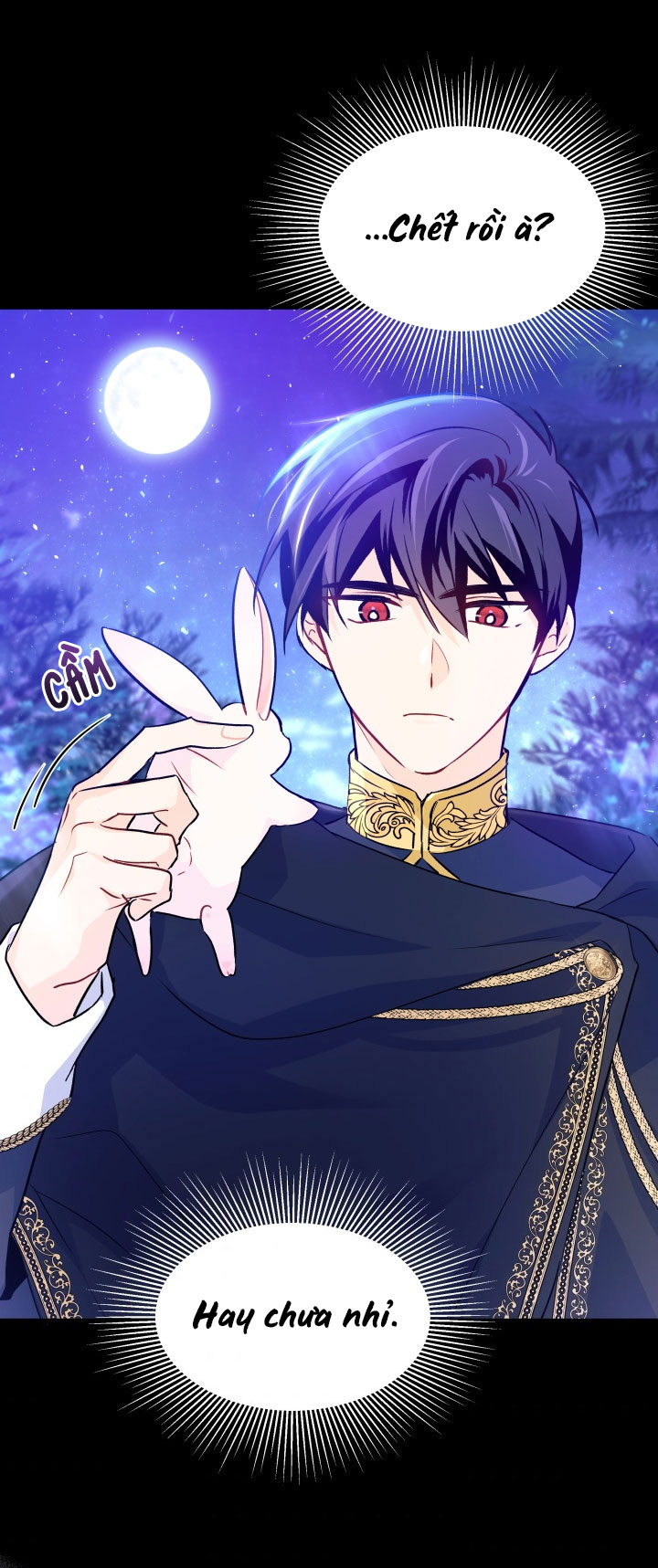 mối liên kết giữa báo đen và bé thỏ chapter 29 29