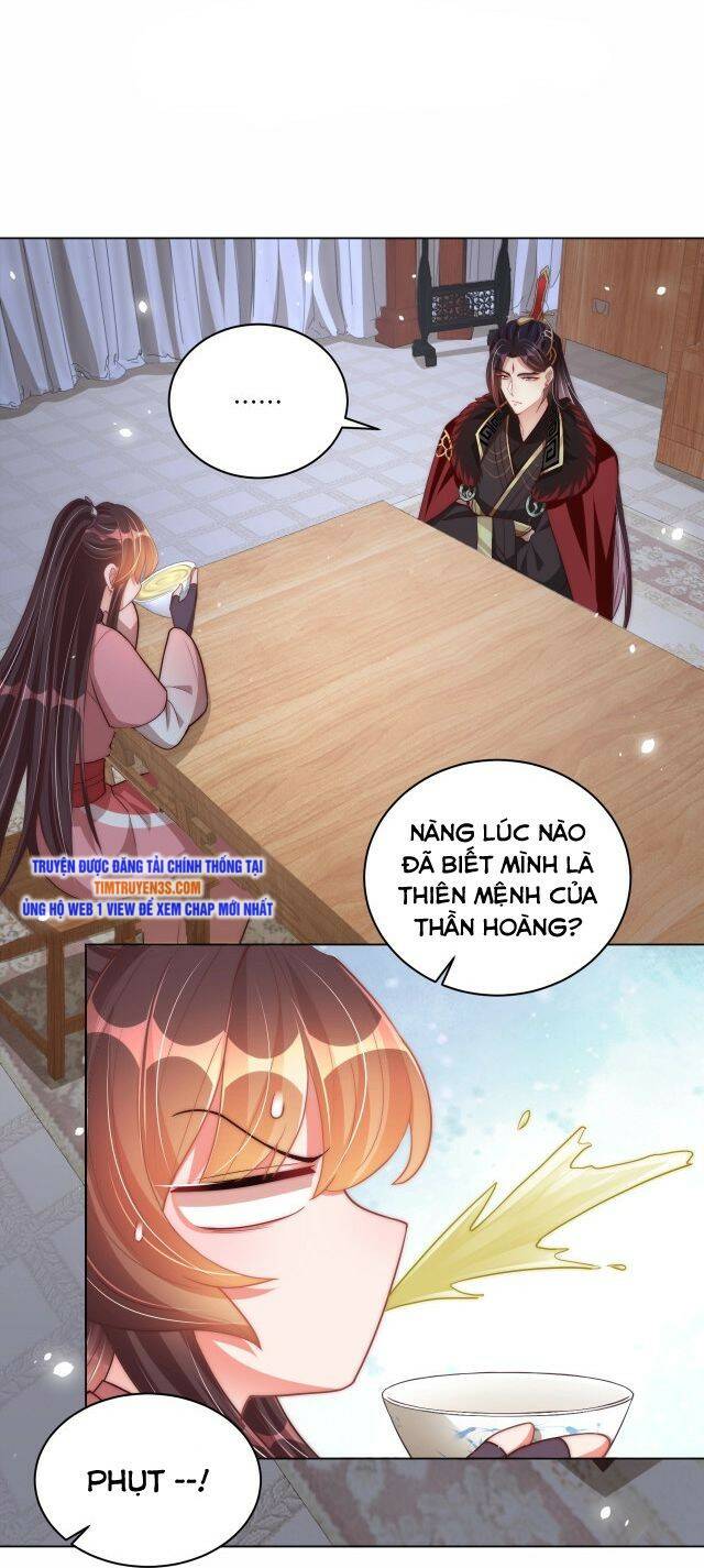 công chúa tại thượng: quốc sư mời xuống kiệu chapter 75 15
