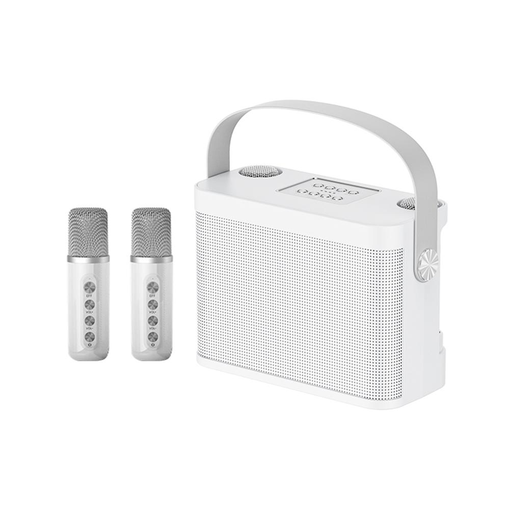 YS-219 Karaoke Machine di động Hệ thống loa Bluetooth 5.0 với micrô kép Home TV KTV Set Hỗ trợ thẻ TF Color: Blue