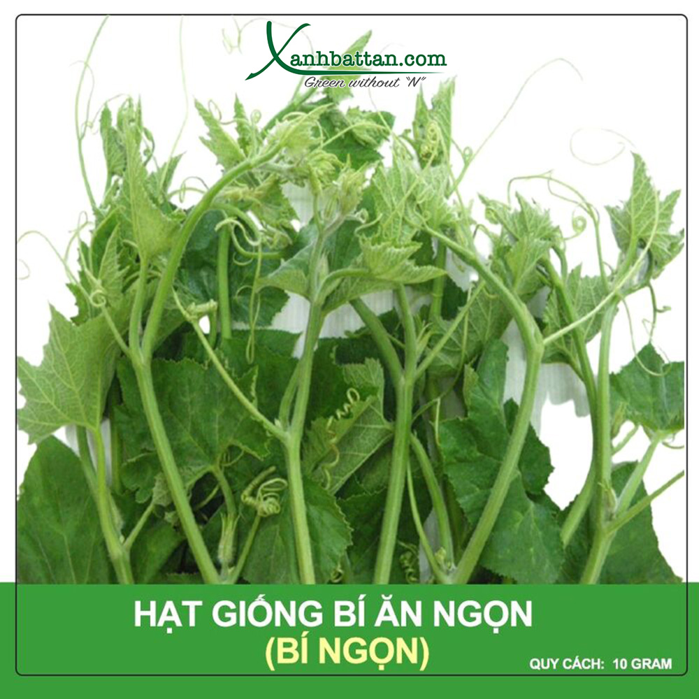 Hạt Giống Bí Ngọn Siêu Đọt - Bí Ăn Ngọn Phú Nông Gói 10 Gram