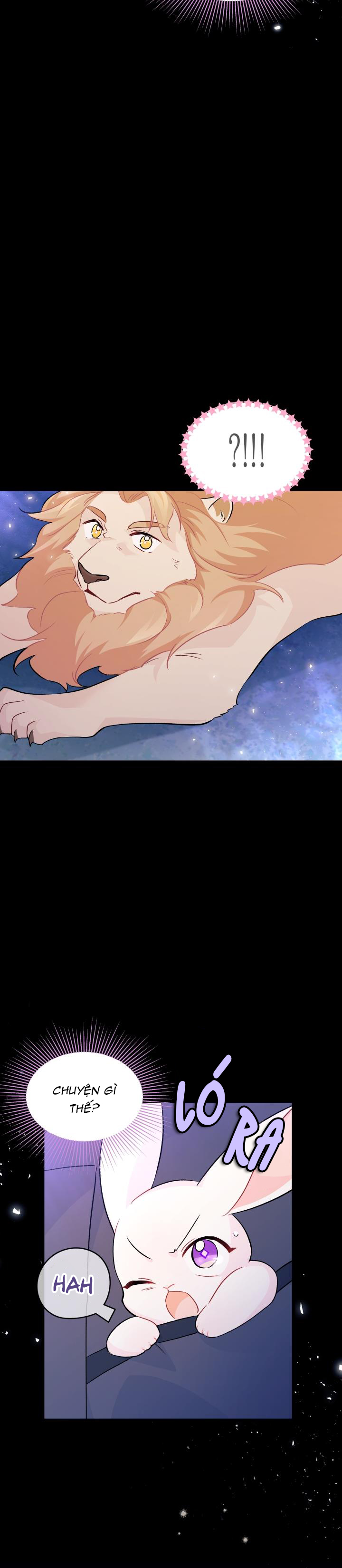 mối liên kết giữa báo đen và bé thỏ chapter 34 32