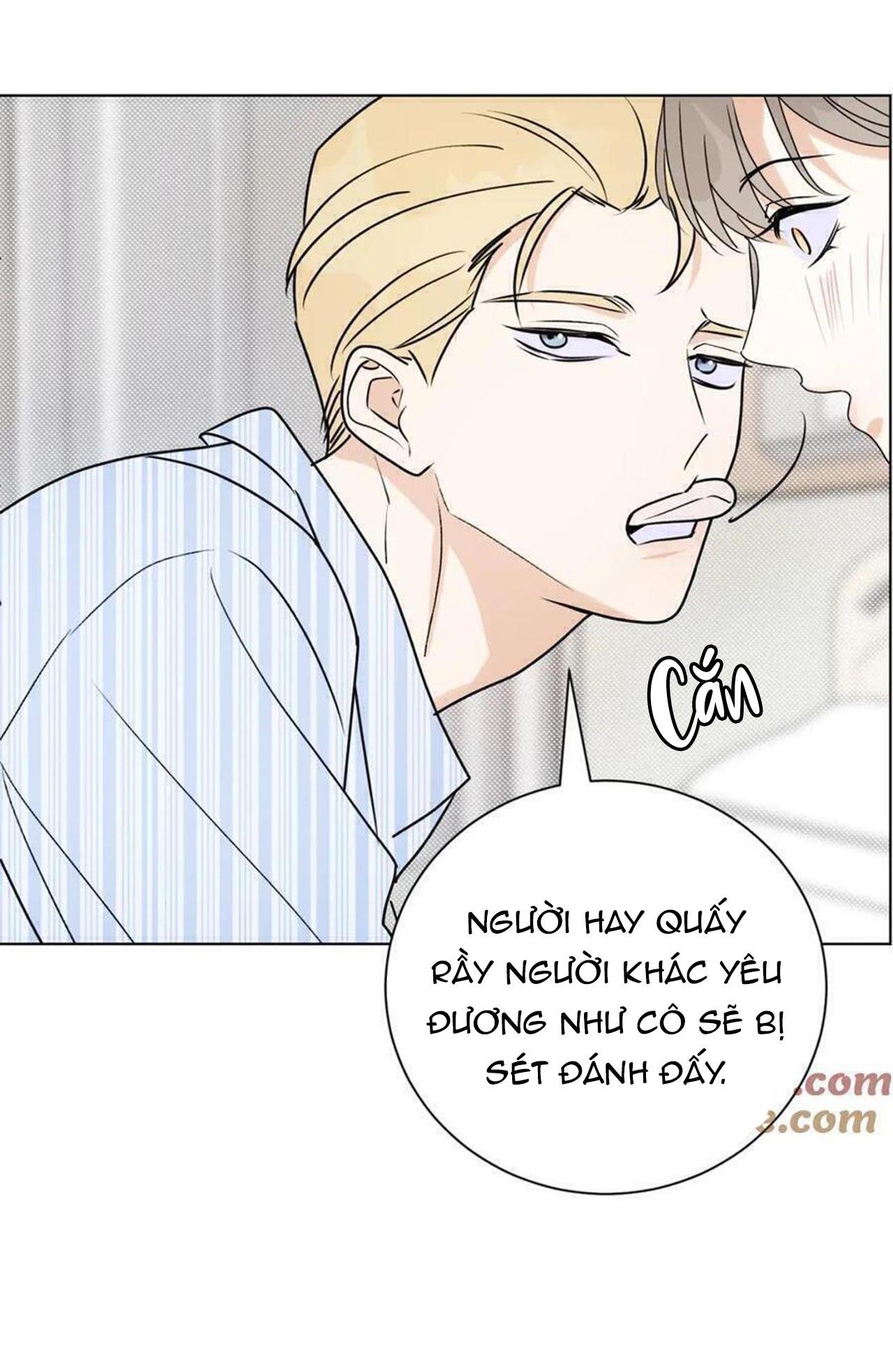 anh trai rẻ tiền của tôi chapter 63 15