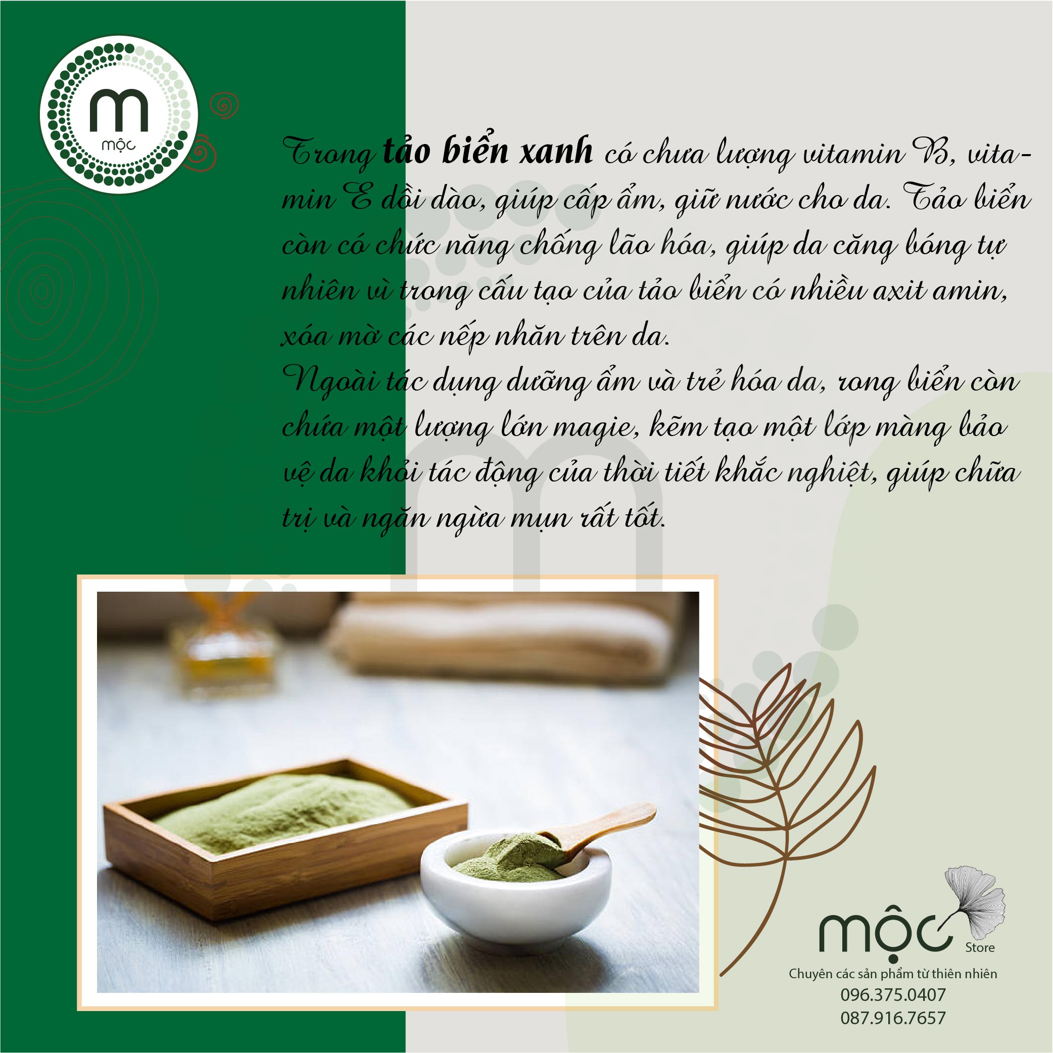 Bột đắp mặt Tảo Biển chống lão hóa nguyên chất 100ml