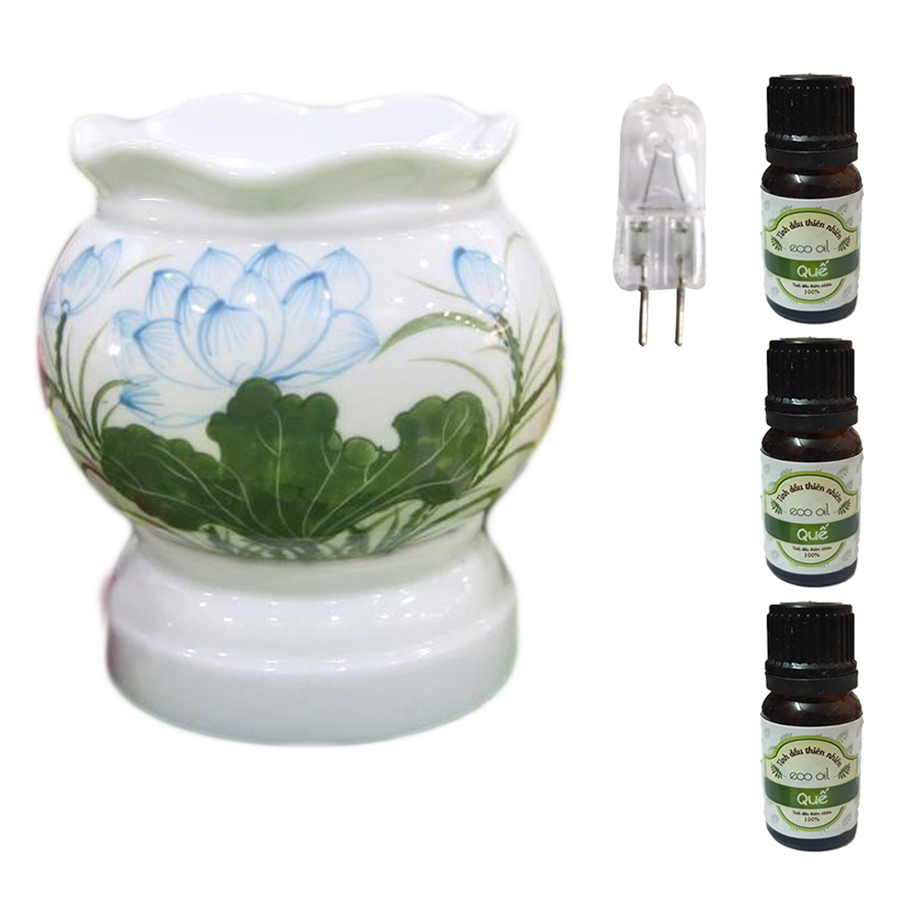 3 tinh dầu quế Eco 10ml và đèn xông tinh dầu size L AH11 và 1 bóng đèn