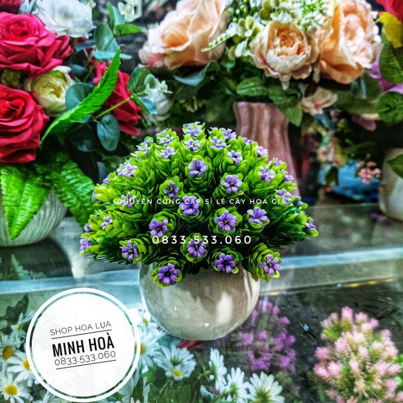 Chậu Hoa Gỉa Mini Trang Trí Bàn Học, bàn Làm Việc, văn phòng. Kích thước 15 cm * 17 cm. Đã kèm chậu. Hàng có sẵn