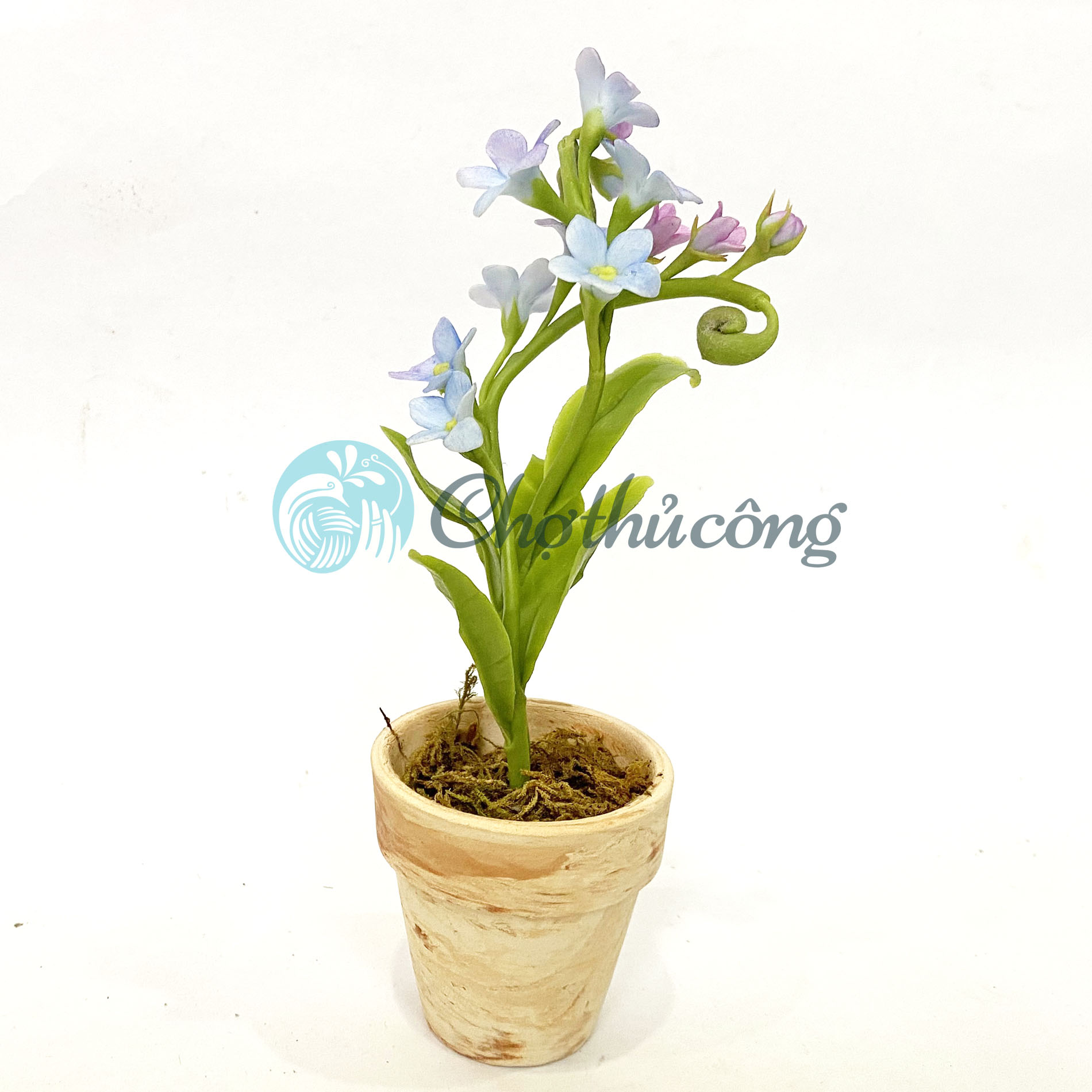 Chậu hoa lưu ly forget me not đất sét mini Nhật Thái, chậu cây mini hoa handmade - chậu hoa giả để bàn, quà tặng handmade