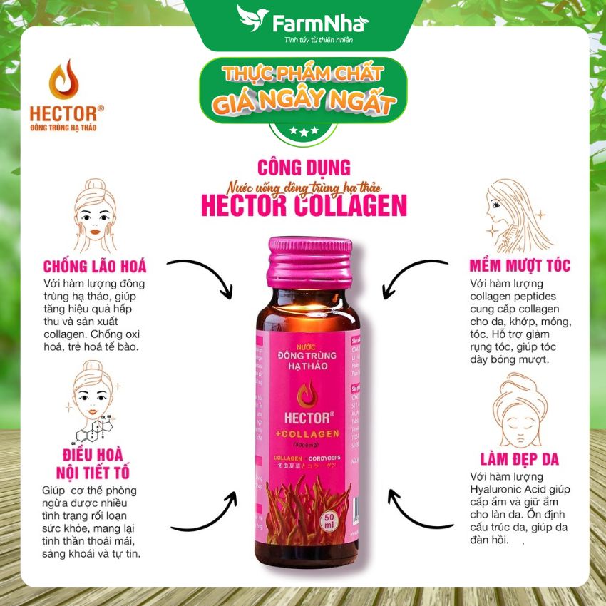 Nước Đông Trùng Hạ Thảo Hector Collagen (Hộp 10 Chai) - Hỗ trợ tăng đề kháng, giúp dưỡng ẩm, phục hồi và làm đẹp da