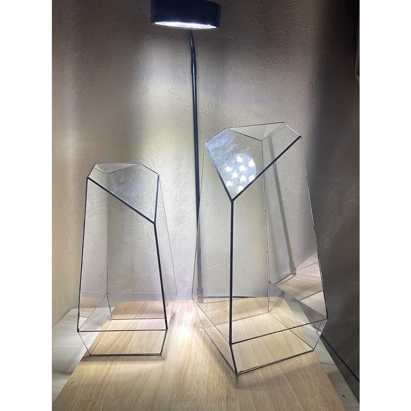 Bình thủy tinh Terrarium đa giác
