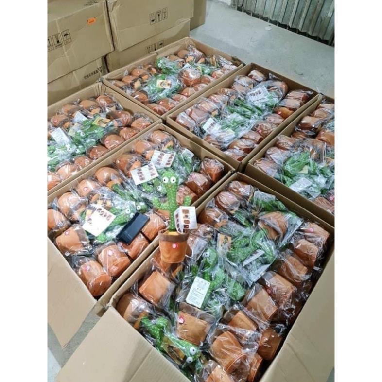 Xương rồng nhảy múa biết hát 120 bài hát nhạc việt nhại được giọng nói -theo hot tiktok