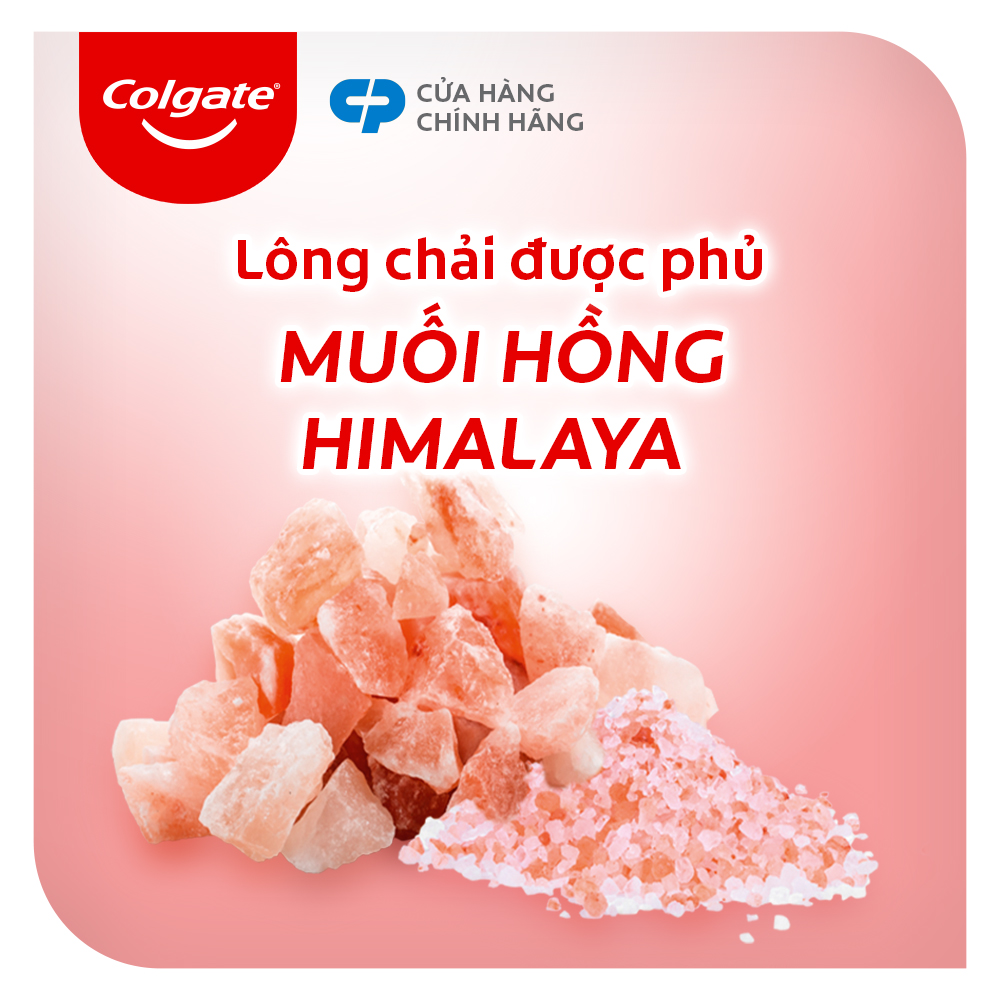 Bộ 2 Bàn chải đánh răng Colgate chứa tinh chất muối hồng Himalaya