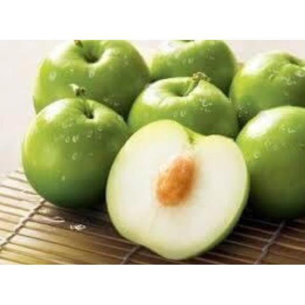 Cây Giống Táo Thái Siêu Trái, Quả To, Giòn và Ngọt