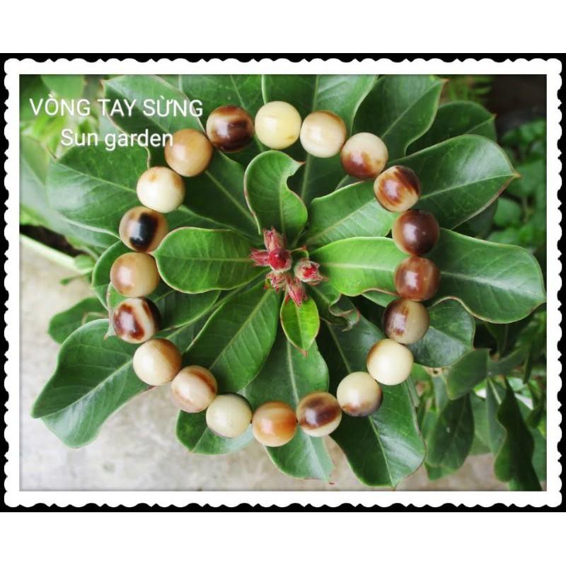 THỦ CÔNG MỸ NGHỆ VÒNG TAY SỪNG TRÂU BÒ CHÂU PHI