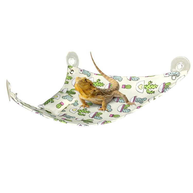 Geckos Lizards Reptile Võng