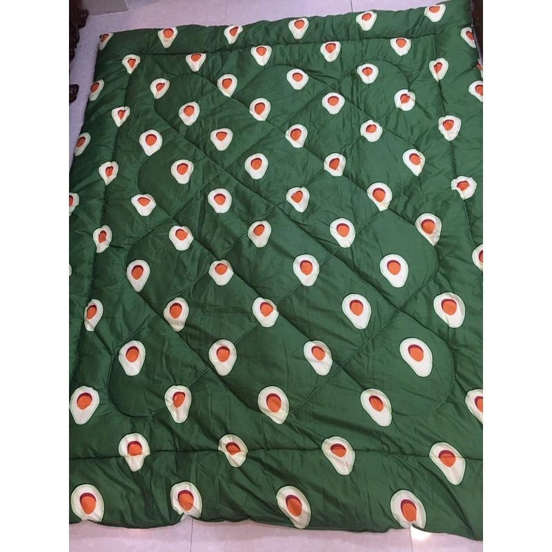 Chăn phao poly siêu nhẹ hình bơ xanh