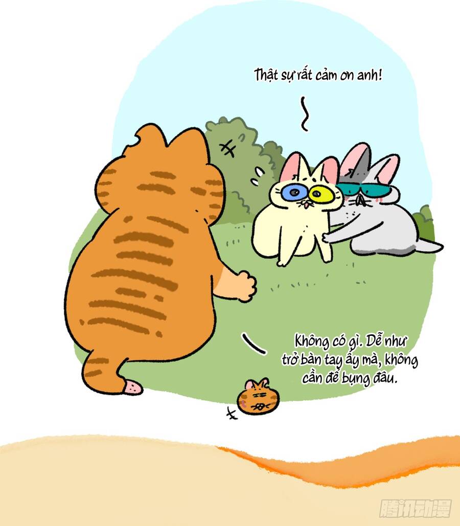 a mãn và mạch trà chapter 171 3