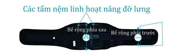 cấu tạo đai lưng