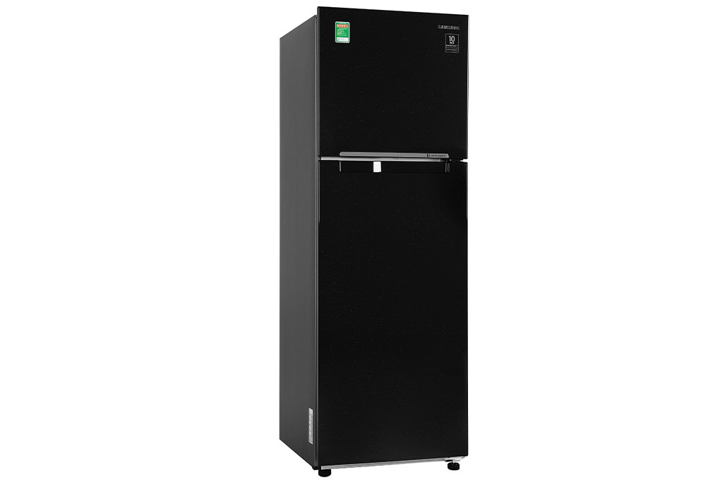 Tủ lạnh hai cửa Digital Inverter 264L - Hàng chính hãng