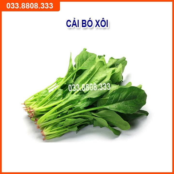 Bộ 5 Loại Hạt Giống Rau Cải Bất Kỳ - Rau Trồng Chậu Nhanh Thu Hoạch