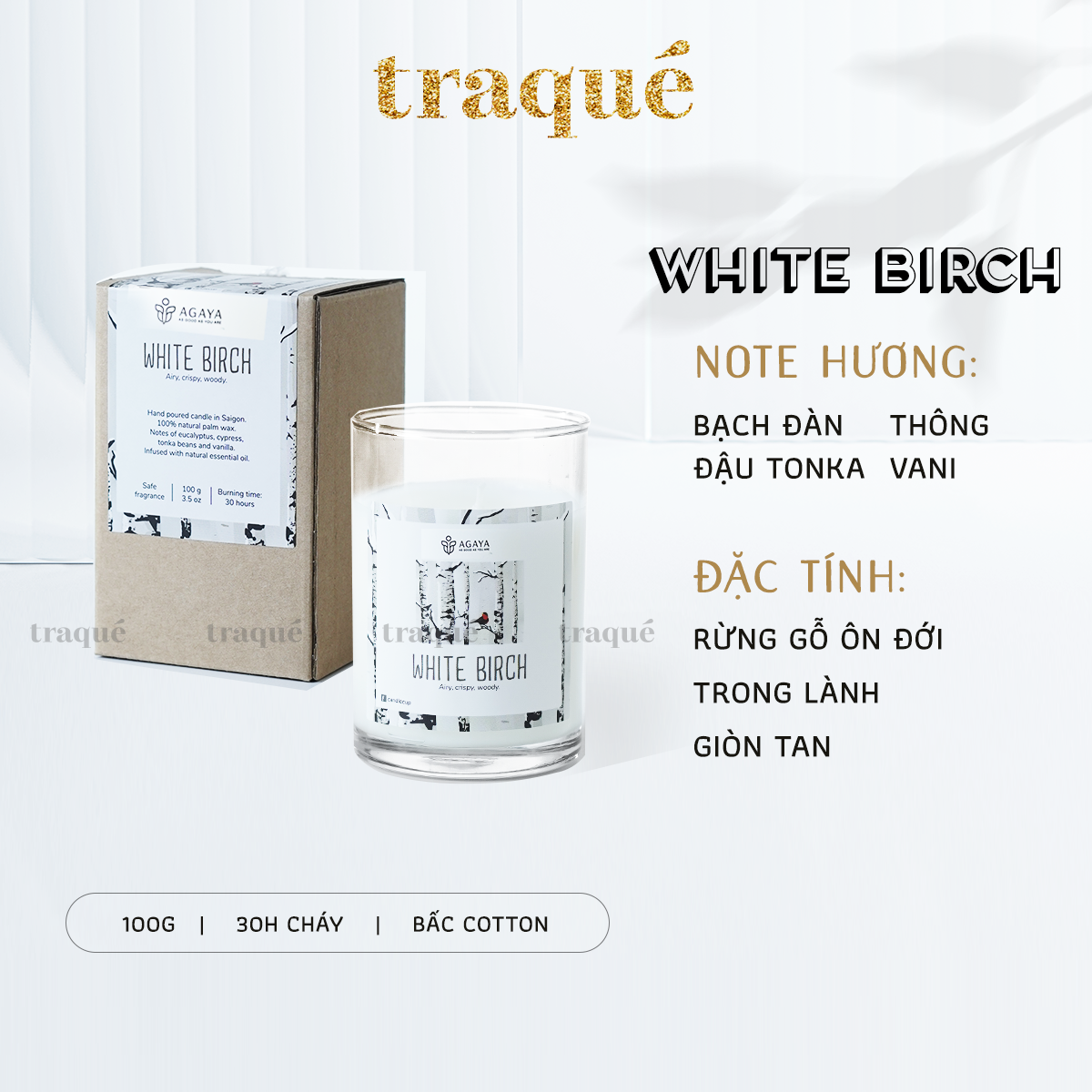 Nến thơm tinh dầu cao cấp không khói an toàn Candle Cup - WHITE BIRCH - S - 100G