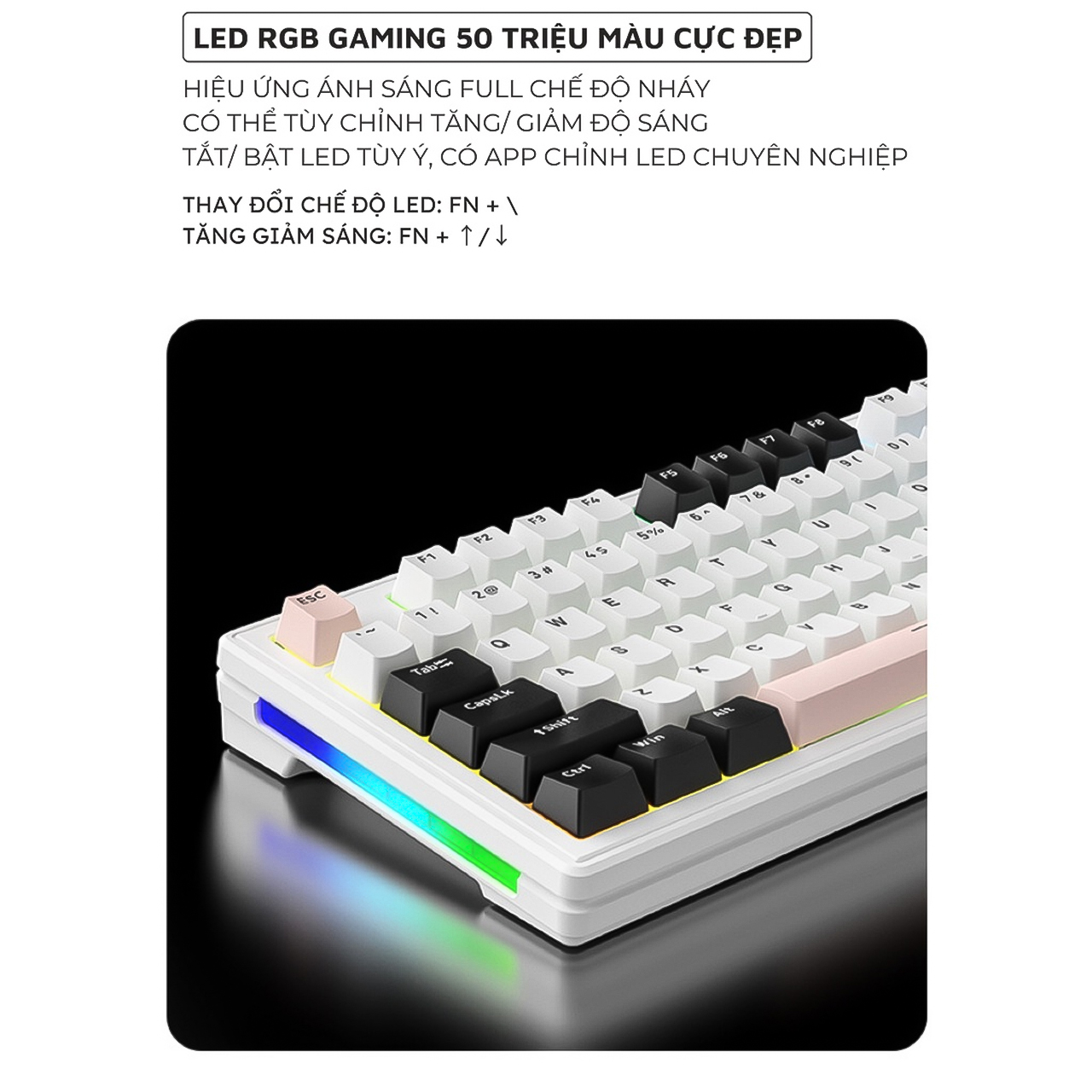 Bàn phím cơ gaming bluetooth Vinetteam M87 LED RGB bàn phím cơ không dây có Hotswap, White Switch, 3 Chế Độ Kết Nối tương thích với hệ điều hành MAC, Windows, và Android - hàng chính hãng