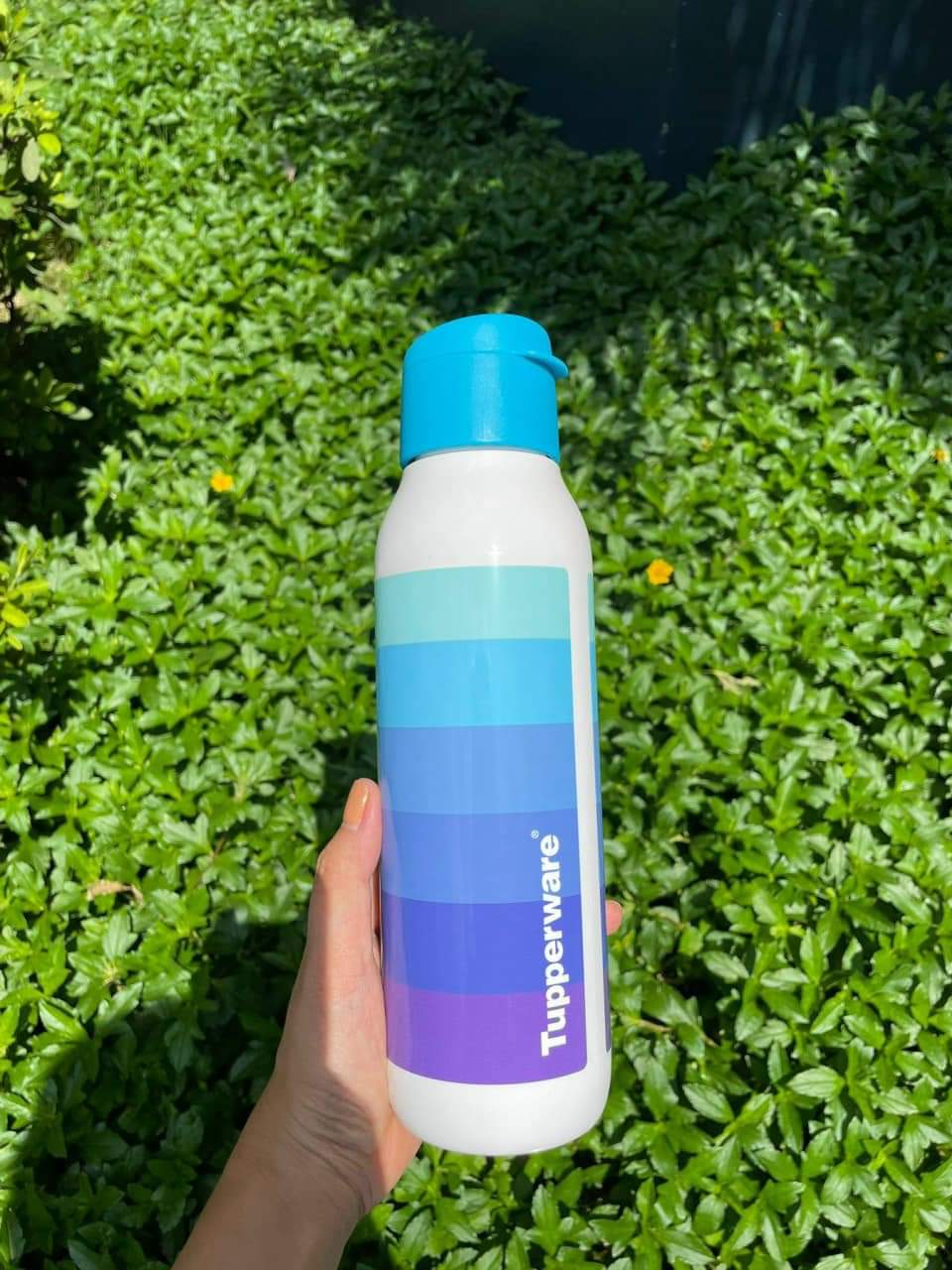 Hình ảnh Bình Nước Eco Bottle Fancy 750ml - Tupperware chính hãng - bảo hành trọn đời - kín khí kín nước không lo đổ rỉ