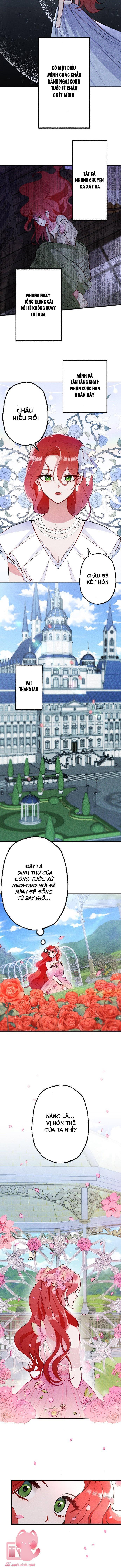 anh muốn em phải tuyệt vọng chapter 2 5