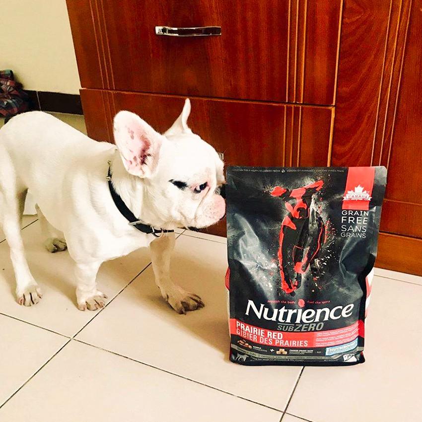 Thức Ăn Hạt Cho Chó Bull Pháp Nutrience Subzero Bao 500g - 6 Loại Thịt Cá, Rau Củ Quả, Trái Cây Tự Nhiên