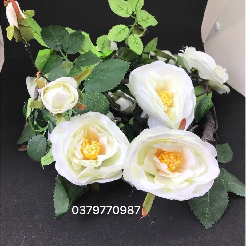 Dây leo hoa trà 180cm