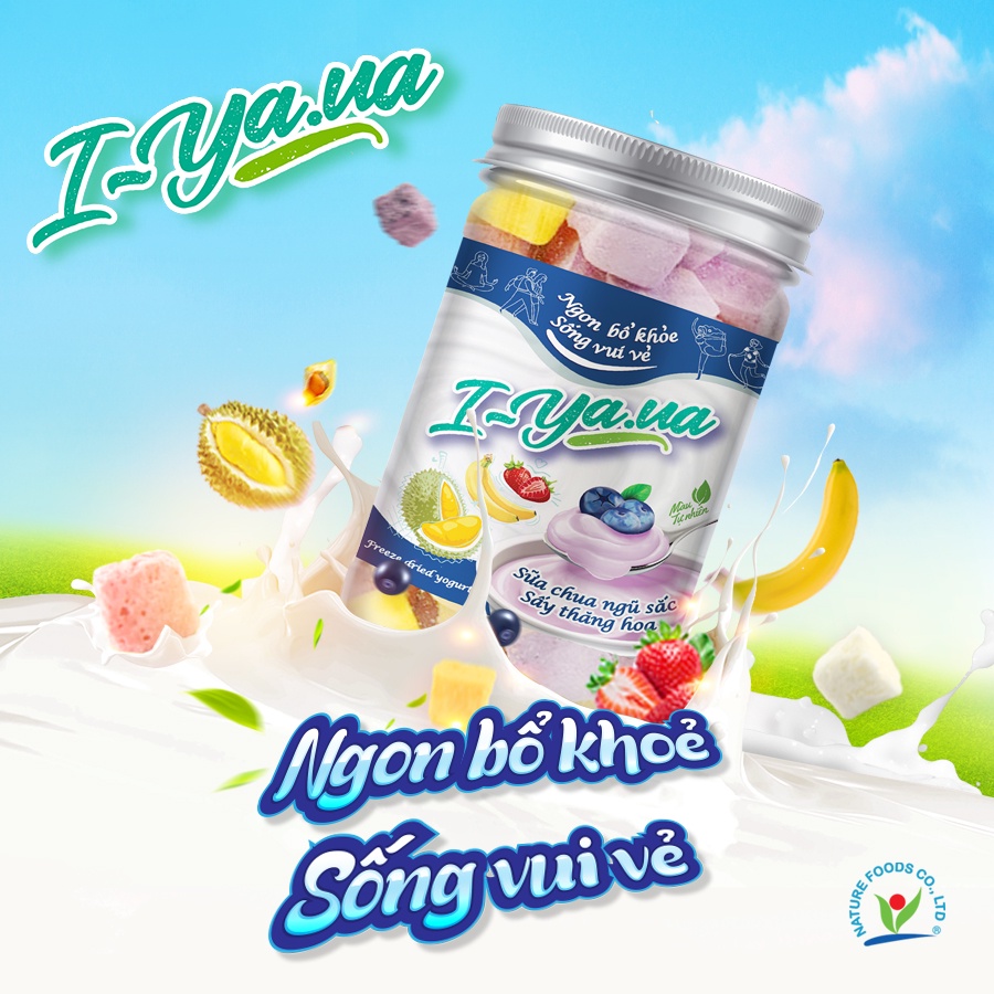 Sữa chua ngũ sắc sấy thăng hoa I.Yaua hũ 55g (việt quất, sầu riêng, chuối, dâu và truyền thống)