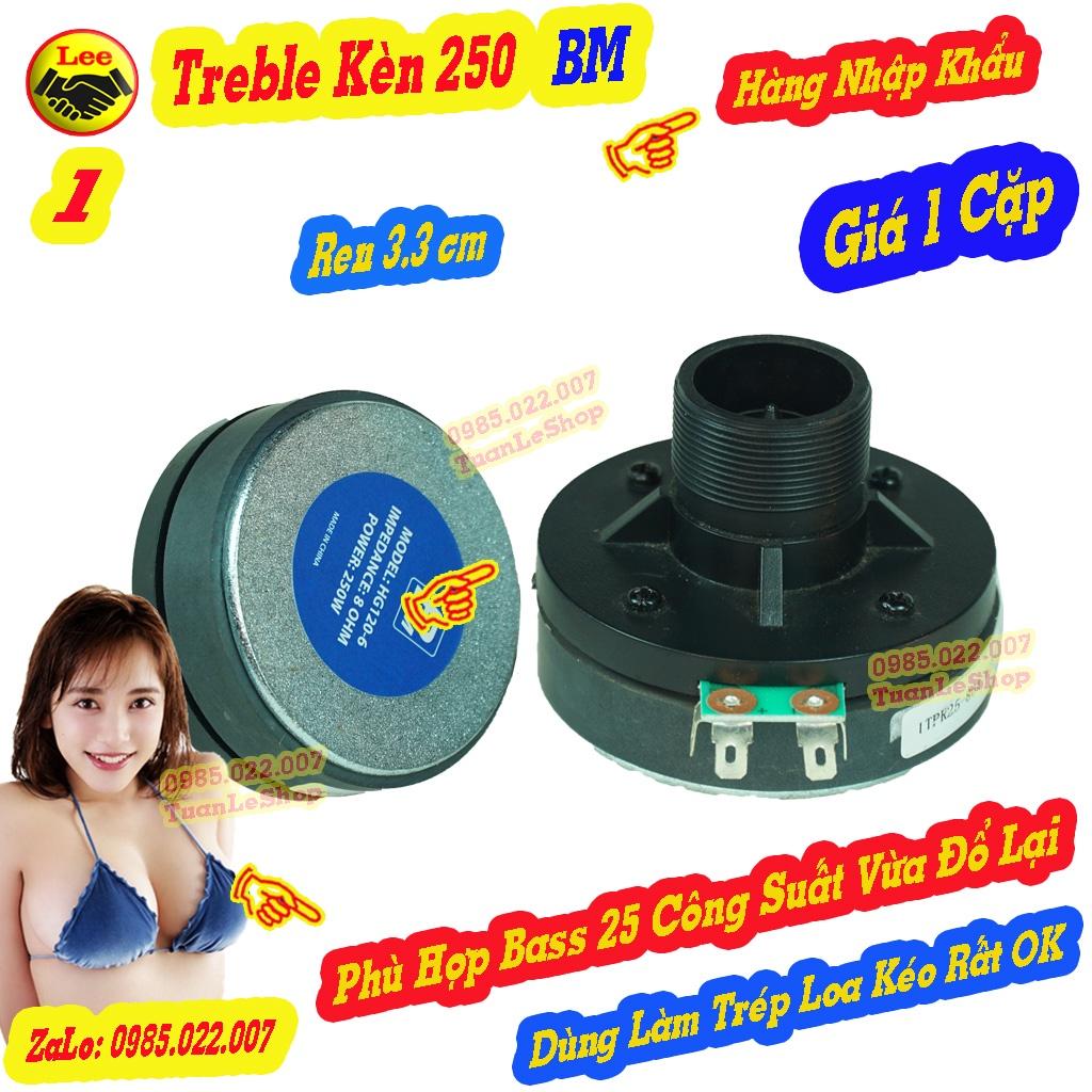 LOA TREP 250 BM REN XOÁY- HÀNG NHẬP -  LOA TREBLE  250 –TREBLE LOA KÉO – GIÁ 02 TREP 250 + 2 PHỄU 12x12 + TẶNG 2 TỤ 2.2