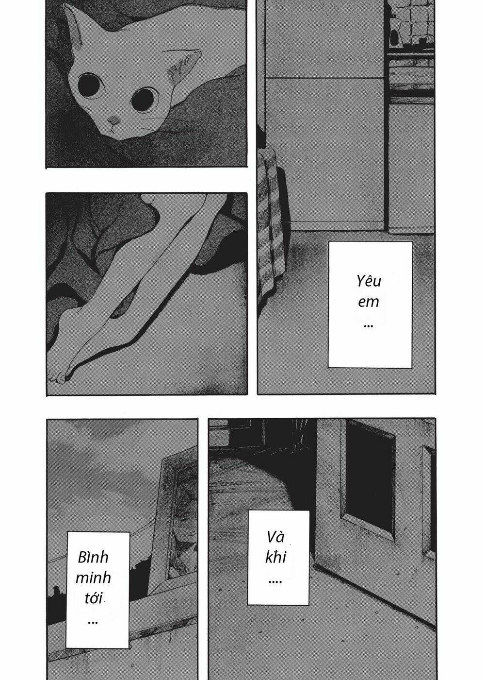 chú mèo và cô chủ chapter 3 39