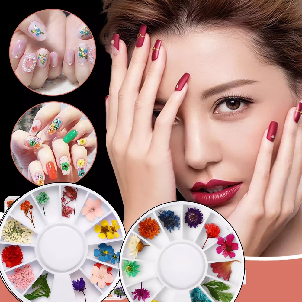 Set Hoa Khô Trang Trí Nail Hỗn Hợp Khay Tròn Đa Dạng Kiểu Dáng kích thước, Đính, Có Thể Kết Hợp Nhiều Phong Cách Ý Tưởng Khác Nhau
