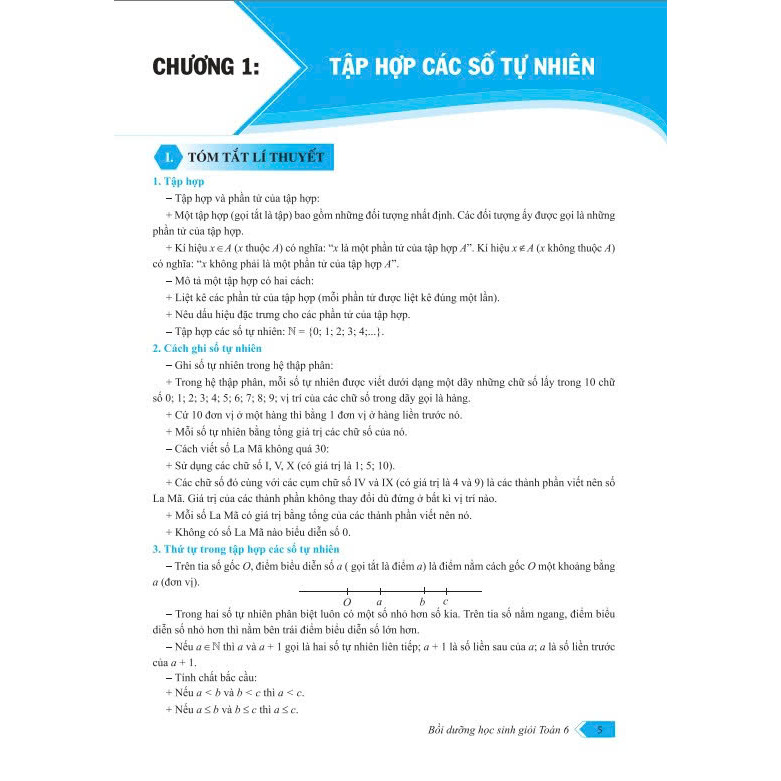 Sách - Bồi Dưỡng Học Sinh Giỏi Toán 6 - Theo chương trình mới - ND