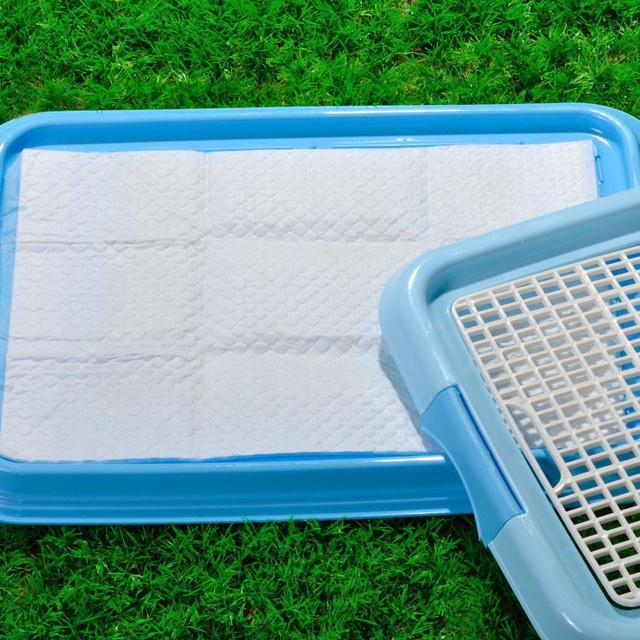 Tã lót chuồng chó mèo - Miếng lót vệ sinh khử mùi, siêu thấm