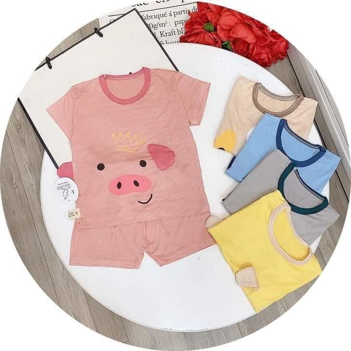 Bộ Cộc Tay Cho Bé FREE SHIP Bộ Thun Lạnh Cộc Tay in họa tiết động vật có tai siêu cưng cho bé trai bé gái