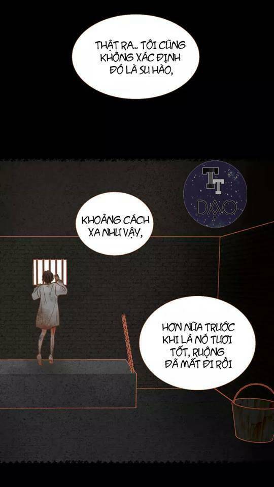 tân lang yếu tòng tiểu dưỡng khởi chapter 13 19