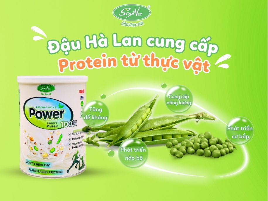 Thực phẩm bổ sung Protein Power Soyna 400gr 100% từ thực vật