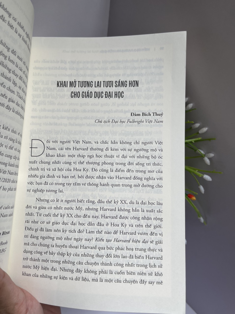 KIẾN TẠO HARVARD HIỆN ĐẠI– Morton Keller, Phyllis Keller – Nguyễn Ngọc Anh dịch - Alphabook - NXB Đại Học Kinh Tế Quốc Dân